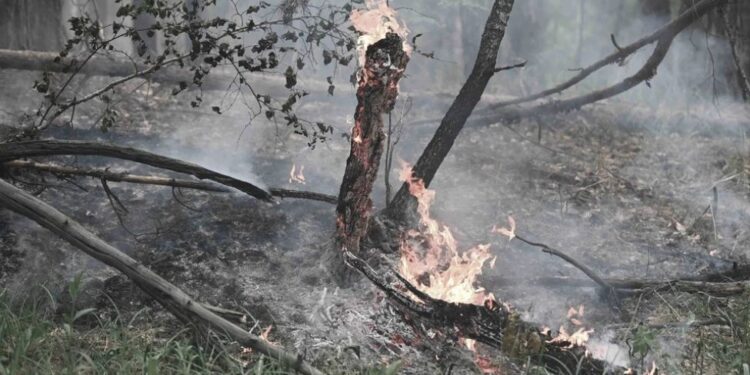 Qazaq Oil выделил 50 млн тенге пострадавшим от пожаров в Абайской области