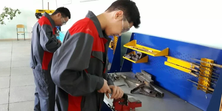 Почему старшеклассникам нужна профориентация?