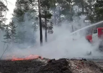 В Павлодарской области тушат три лесных пожара