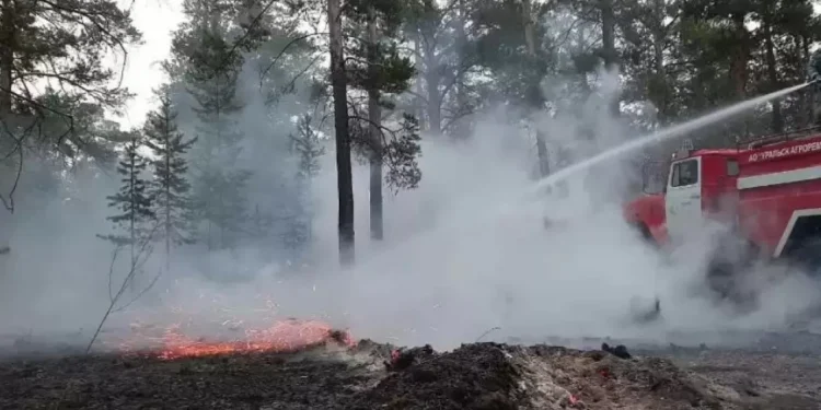 В Павлодарской области тушат три лесных пожара