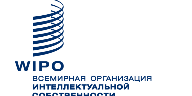 Значение и важность интеллектуальной собственности приобретают все большую актуальность в современном мире