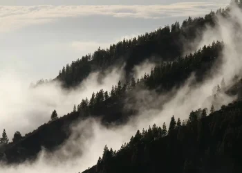 Турция в огне: леса горят в окрестностях Кемера