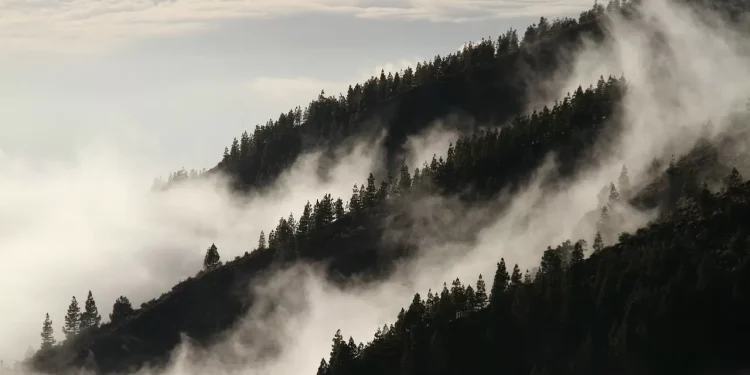 Турция в огне: леса горят в окрестностях Кемера