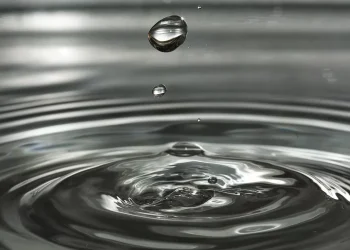 Сколько воды Кыргызстан передал Казахстану?