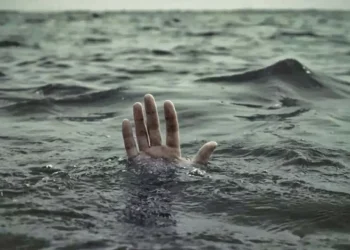 11 человек утонули в реке Сырдарья в Туркестанской области