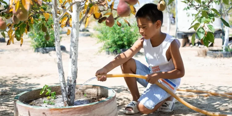 Больше 4 миллиардов тенге выделил фонд «Халық» на социальные проекты в Мангистау
