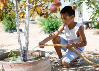 Мангистауская область получит более 4 млрд тенге на социальные проекты от фонда «Халық»