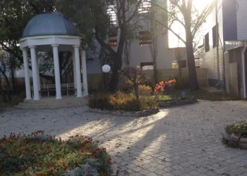 Скандал в ботаническом саду Петропавловска: заявление директора опровергли в управлении образования СКО