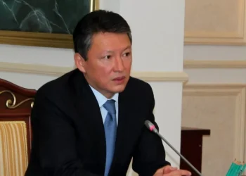 Тимур Кулибаев переизбран президентом НОК РК