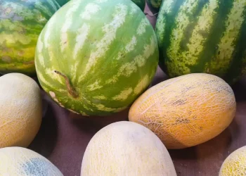 Цены ниже рыночных: где и когда в Астане пройдут сельскохозяйственные ярмарки