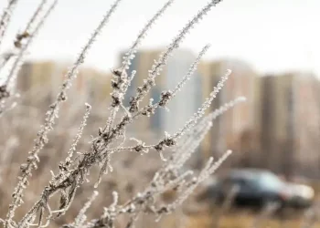 Почему МЧС не оповестило казахстанцев об урагане и как узнать о непогоде вовремя