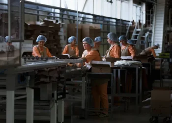 В РК увеличился спрос на специалистов сферы производства