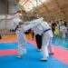 Турнир по всестилевому каратэ пройдет в Алматы