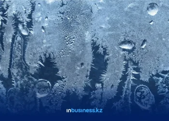 Недоброе морозное утро: школьников в Казахстане отправили на дистанционное обучение