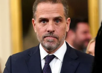 Сыну Байдена предъявлены сразу девять обвинений – СМИ