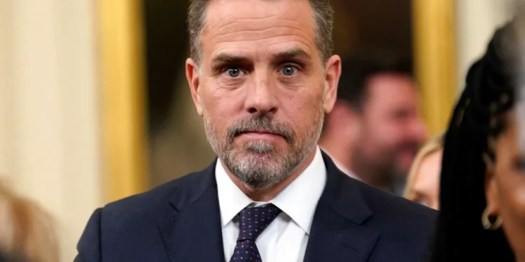 Сыну Байдена предъявлены сразу девять обвинений – СМИ