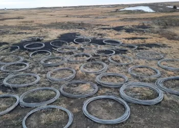 Сельский житель в Павлодарской области украл почти 6 км проводов ЛЭП