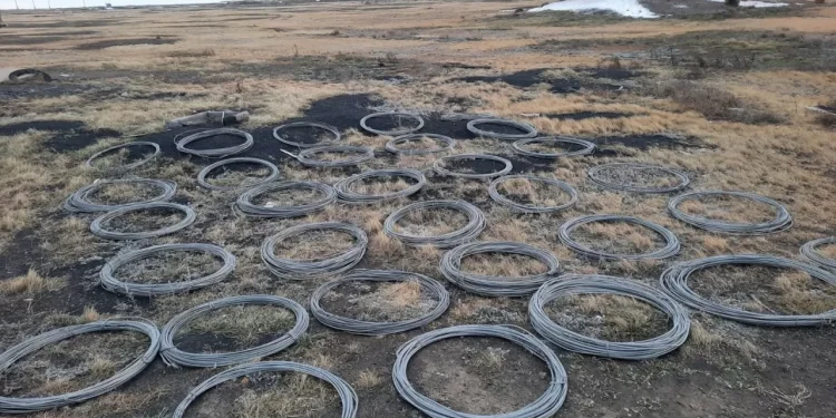 Сельский житель в Павлодарской области украл почти 6 км проводов ЛЭП