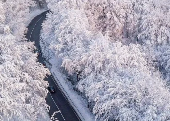 В Жамбылской области на трассах застряли свыше тысячи автомашин