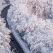 В Жамбылской области на трассах застряли свыше тысячи автомашин