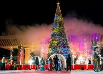 Новогодние елки Астаны и Алматы вошли в топ-10 самых высоких в СНГ