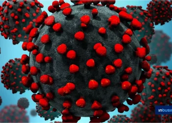 ВОЗ: COVID-19 продолжает мутировать