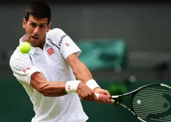 Новак Джокович сделал серьезную заявку на звание лучшего теннисиста в истории мира