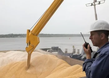 25 раз пытались ввезти в Казахстан зерно, несмотря на запрет