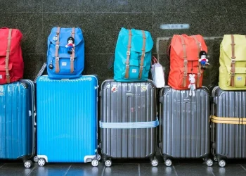 Российские компании заняли доминирующие доли в консалтинге и IT-индустрии Казахстана