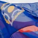 Де-юре Армения не приостанавливает свое членство в ОДКБ – МИД РК