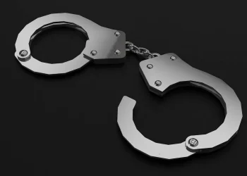 Дело на 19 млн тенге: из Чехии в Казахстан экстрадировали подозреваемого