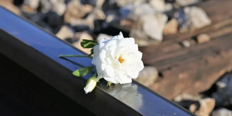 Поддержка психического здоровья и профилактика суицидов в Казахстане