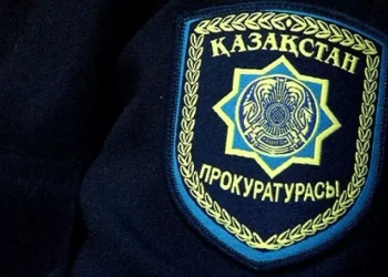 Инвестор? Подожди 3 года: бизнесмены не могли получить землю в Жетысуской области