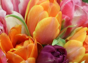 Самый ценный подарок для женщины к 8 Марта – какой он?