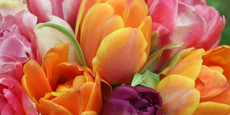 Самый ценный подарок для женщины к 8 Марта – какой он?