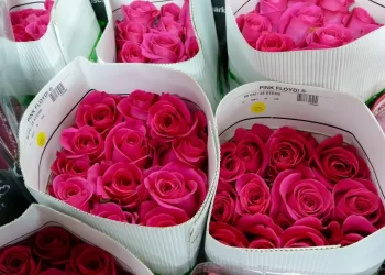 Цветочный бизнес: кто зарабатывает на 8 Марта в Казахстане