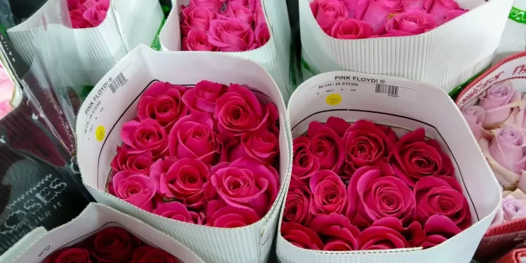 Цветочный бизнес: кто зарабатывает на 8 Марта в Казахстане