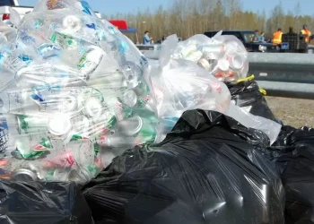 В Казахстане не хватает мусора