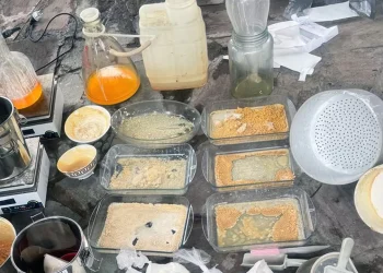 КНБ разгромил подпольную нарколабораторию в Алматинской области