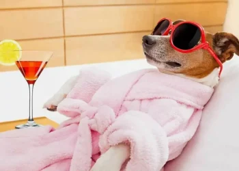 В Казахстане перенесли день отдыха в мае