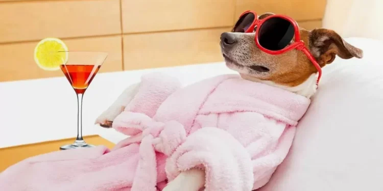 В Казахстане перенесли день отдыха в мае