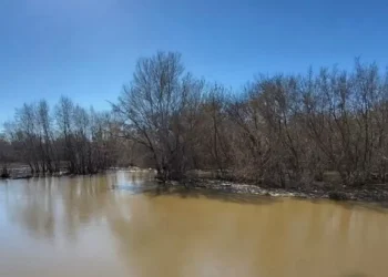 Уровень воды в реке Урал в Атырауской области продолжает расти