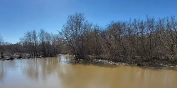 Уровень воды в реке Урал в Атырауской области продолжает расти