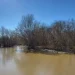 Уровень воды в реке Урал в Атырауской области продолжает расти