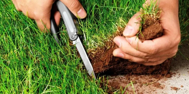 Жесткие требования предъявят в РК к новым арендаторам возвращенных земель