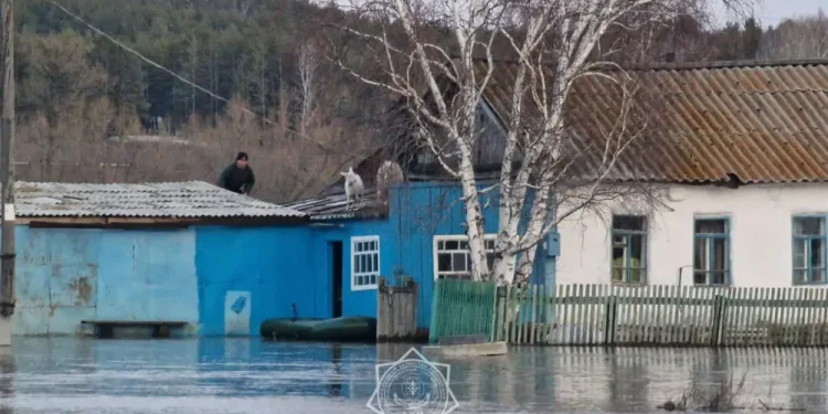 Как заемщикам Halyk, пострадавшим от паводков, получить отсрочку по кредитам