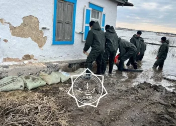 Как правительство намерено возмещать ущерб пострадавшим от паводков?