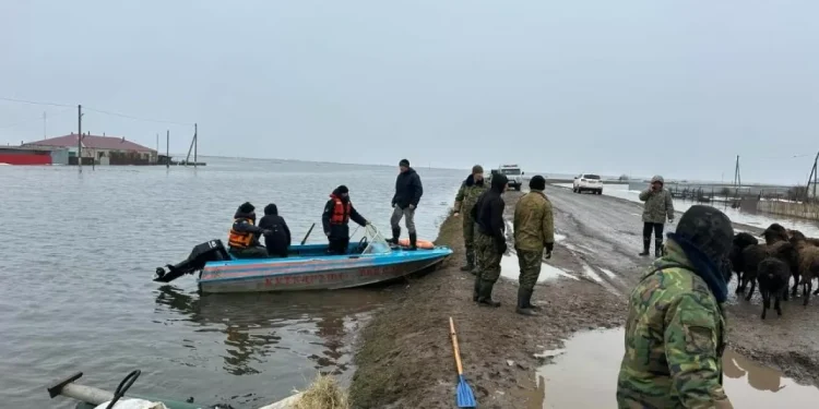 Сельчанам из пострадавших от паводков районов РК предложили отсрочить оплату кредитов на 3 года