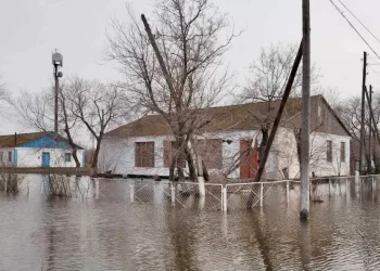 Паводки-2024: когда станут известны суммы компенсаций за пострадавшие дома