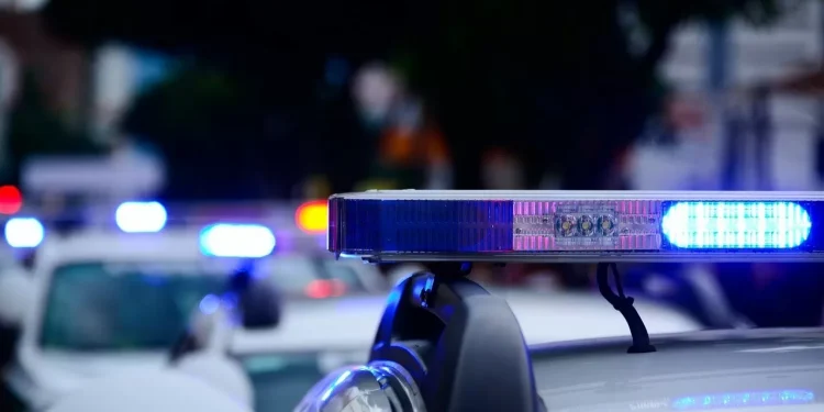 Как наказали директора школы в СКО, где произошла поножовщина